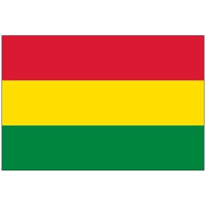 Bolivia No Seal Flag