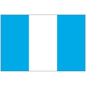 Guatemala No Seal Flag