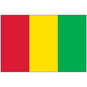 Guinea Flag