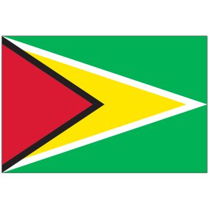 Guyana Flag