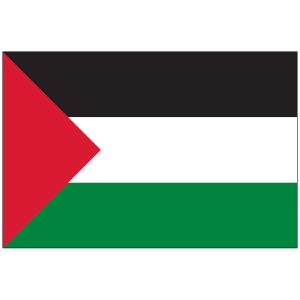 Palestine Flag