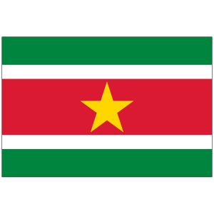 Suriname Flag