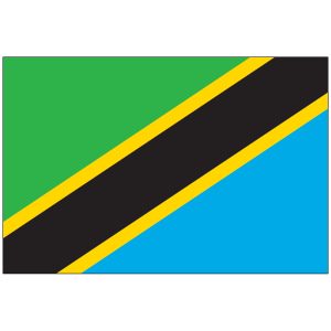 Tanzania Flag