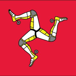 Man Flag w/ Pole Hem & Fr