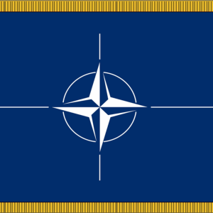 NATO Flag w/ Pole Hem & Fr