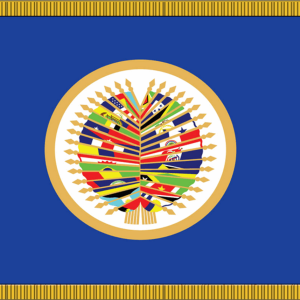 Nylon OAS Flag w/ Pole Hem & Fr