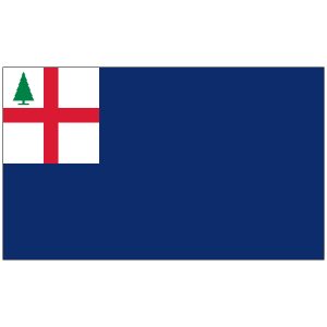 Bunker Hill Flag