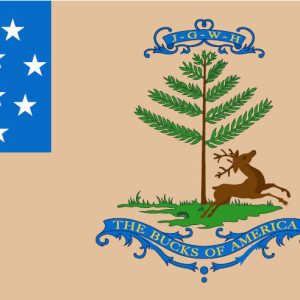Bucks of America Flag