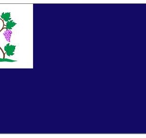Connecticut Navy Flag
