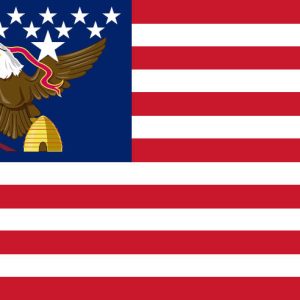 Deseret Flag (The Flag of Utah 1851)
