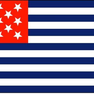 Fort Mercer Flag