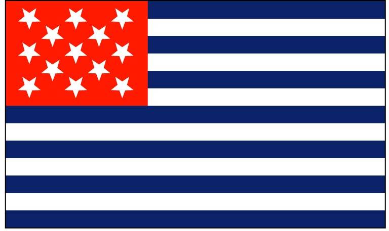 Fort Mercer Flag