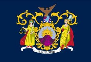 Gansevoort Flag