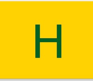 Hospital Flag
