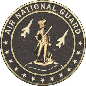 Air National Guard Bronze Grave Marker