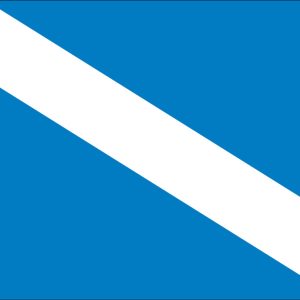 Guest Flag